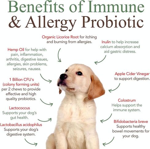 Veterinary Naturals - Immune & Allergy Chews - Probiotic Dog Treats - 60 Soft Chews - Allergy Relief from Food & Environmental Allergies, Help Improve Skin & Coat, Boost Overall Health in Saudi Arabia