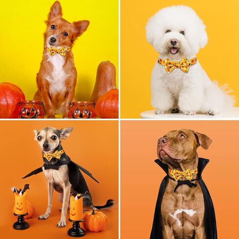 wegitcs هالوين الكلب طوق، عطلة طوق هدية الحيوانات الأليفة مع ربطة عنق وزهرة، قابل للتعديل طوق الكلب اليقطين للكلاب الصغيرة المتوسطة الكبيرة، الذكور الإناث in Kuwait