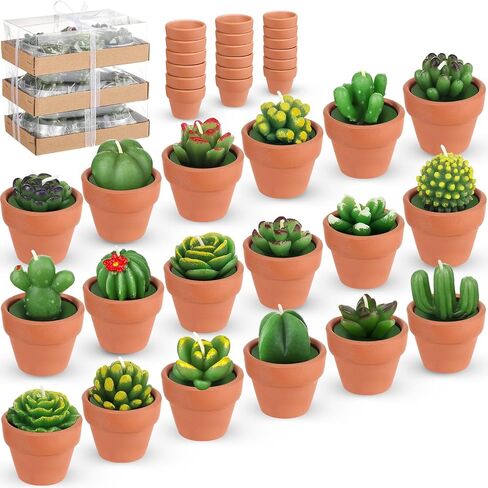 Treela 18 Pcs Succulent Cactus Tealight Candles Handmade Tea Lights Baby Shower Plant Candle Gift with Mini Terracotta Clay Candle Holders for Home Birthday Christmas Wedding Party(Classic) in Saudi Arabia