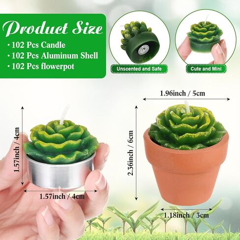 Treela 18 Pcs Succulent Cactus Tealight Candles Handmade Tea Lights Baby Shower Plant Candle Gift with Mini Terracotta Clay Candle Holders for Home Birthday Christmas Wedding Party(Classic) in Saudi Arabia