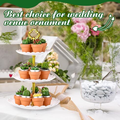 Treela 18 Pcs Succulent Cactus Tealight Candles Handmade Tea Lights Baby Shower Plant Candle Gift with Mini Terracotta Clay Candle Holders for Home Birthday Christmas Wedding Party(Classic) in Saudi Arabia