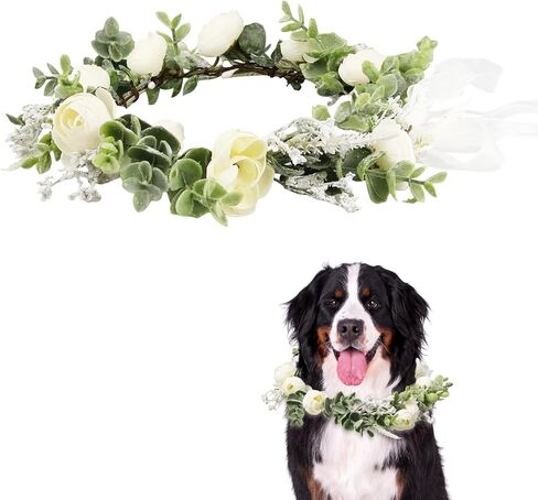 Dog Wedding Flower Collar Dog Flower Crown Wedding Adjustable Green Eucalyptus Leaf Flower Wreath for Home Wedding Birthday Party Decor in Kuwait