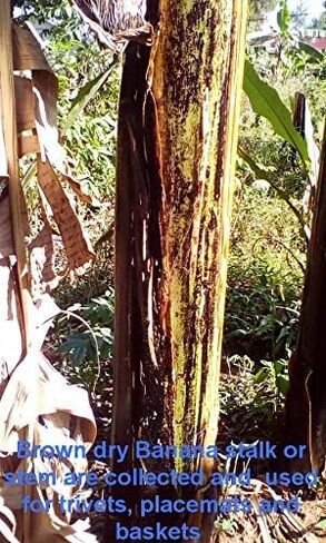 ركيزة أفريقية منسوجة يدويًا - ركيزة ألياف الموز - مصنوعة يدويًا في رواندا - 11 بوصة، AT001 in Kuwait