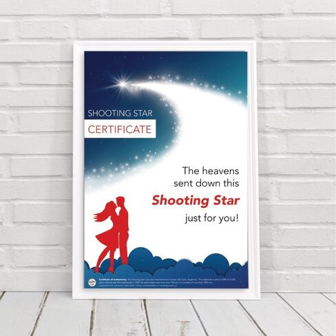 Real Shooting Star | Iron Meteorite | Space and NASA Enthusiasts | with Personalized Certificate | Space Stuff | Moon Rock | 6th Iron Anniversary | Lovers | for him and her | Valentines Day Gift in Saudi Arabia