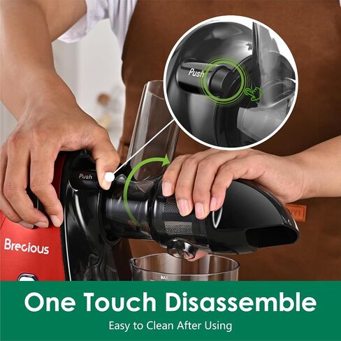 Slow Masticating Juicer,Brecious Cold Press Juicers with 2 Speed Modes & Quiet Motor,Juicers Machines Vegetable and Fruit with Reverse Function,Celery Juicer,BPA-Free,Easy to Clean (Silver) in Kuwait