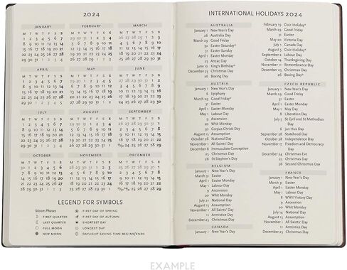 ضوء القمر (حديقة أولينا) مخطط يومي صغير لمدة 12 شهرًا 2024 in Kuwait