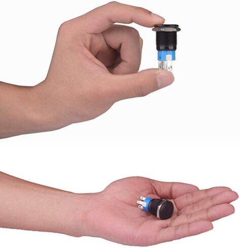 Taien لحظة ضغط على زر التبديل رمز القرن 19 مم 3/4 بوصة 1NO1NC تشغيل/إيقاف غلاف معدني أسود مع ضوء LED 12 فولت للسيارة DIY (مكبر صوت أزرق) in Kuwait