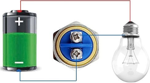 ZJWZJH 16mm Momentary Push Button Switch UL Certification Waterproof IP67 0.63" High Head Cap 3A 5V 12V 24V 120V SPST Start Button Screw Pin Black in Saudi Arabia