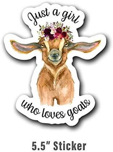 Just A Girl Who Loves Goats Vinyl Decal Sticker | Cars Trucks Vans Walls Laptops Cups | Full Color Printed | 5.5 Inch | KCD3023 in Saudi Arabia