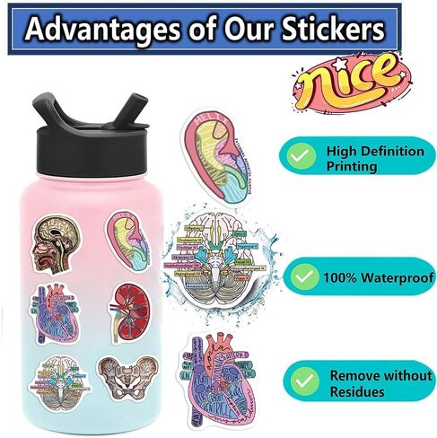 50PCS Anatomy Aesthetics Stickers,Human Anatomy,Body Part,Skeleton Waterproof Vinyl Decals,for Water Bottles,Laptops,Scrapbooks,Suitcases,Phone,Bumper,Car,Doctor Nurse Students Anatom Graduation Gift in Kuwait