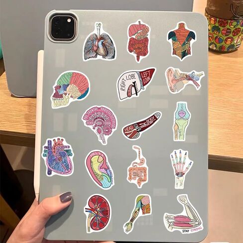 50PCS Anatomy Aesthetics Stickers,Human Anatomy,Body Part,Skeleton Waterproof Vinyl Decals,for Water Bottles,Laptops,Scrapbooks,Suitcases,Phone,Bumper,Car,Doctor Nurse Students Anatom Graduation Gift in Kuwait