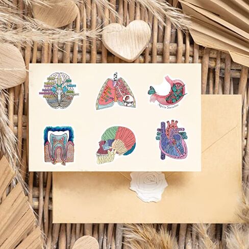 50PCS Anatomy Aesthetics Stickers,Human Anatomy,Body Part,Skeleton Waterproof Vinyl Decals,for Water Bottles,Laptops,Scrapbooks,Suitcases,Phone,Bumper,Car,Doctor Nurse Students Anatom Graduation Gift in Kuwait