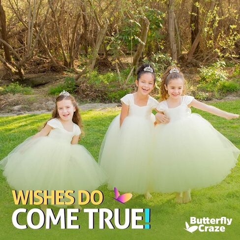 Butterfly Craze Princess Crown Comb Mini Tiara for Kids - Set of 2, Ideal for Wedding Flower Girls, Bridesmaids & Even For Brides, Also Perfect For Birthday Parties, Dress Up, And Pretend Plays in Kuwait