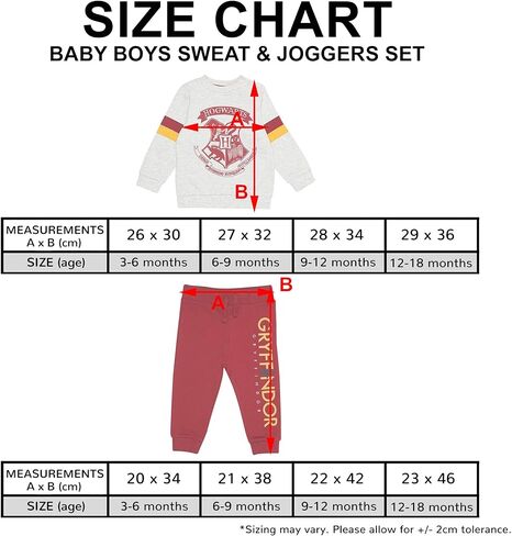 Harry Potter Hogwarts Crest Sweat and Joggers Set, Kids, 1-3 Years, Grey, Official Merchandise in Kuwait