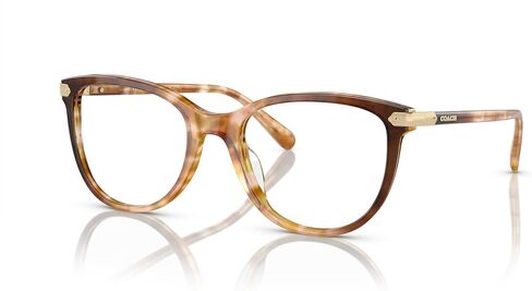 إطارات النظارات الطبية المربعة ذات الجسر المنخفض للسيدات Hc6220f من كوتش in Kuwait