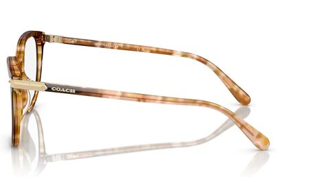 إطارات النظارات الطبية المربعة ذات الجسر المنخفض للسيدات Hc6220f من كوتش in Kuwait