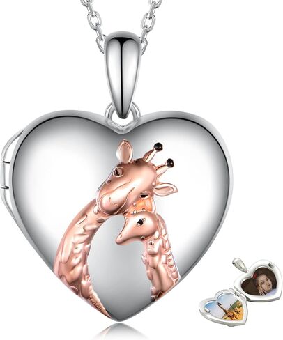 Locket Necklace for Women 925 Sterling Silver Photo Pendant Necklace that Holds Pictures Birthday Memorial Jewelry Gifts for Women in Kuwait