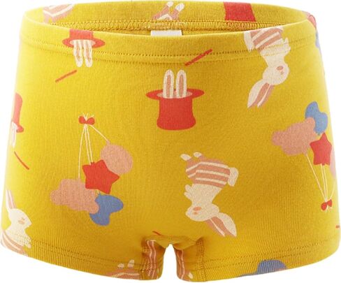 Kids Little Girls Underwear Toddler Baby 100% Cotton Soft Briefs Panties Cartoon Big Girls Undies 1-10 Years (Pack of 6) in Kuwait