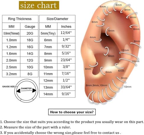 PEAKLINK 16G مجوهرات الحاجز الحاجز الفرس الدائري Daith الأقراط 316L الجراحية الصلب الأنف حلقة هوب يتوقف الجزء سلس الفرس الدائري الرخ أقراط محارة اللولب الزنمة ثقب المجوهرات 8 مم 10 مم in Saudi Arabia