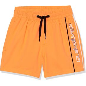 Quiksilver Boys Everyday Vert Volley 12 Boardshort Swim Trunk