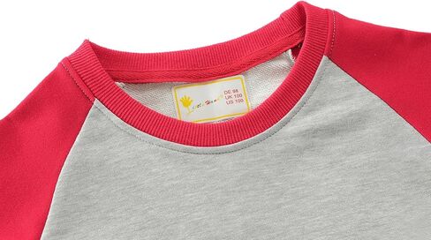 Little Hand Toddler Boys Dinosaur Sweatshirts Dump Truck Love Shirts Sport Pullover Active Shirt Kids 2-7 Years in Kuwait