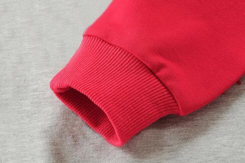 Little Hand Toddler Boys Dinosaur Sweatshirts Dump Truck Love Shirts Sport Pullover Active Shirt Kids 2-7 Years in Kuwait