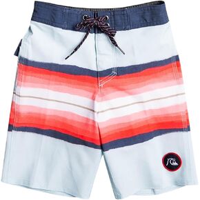 Quiksilver Boys' Surfsilk Resin Tint 14 Boardshort Swim Trunk Bathing Suit