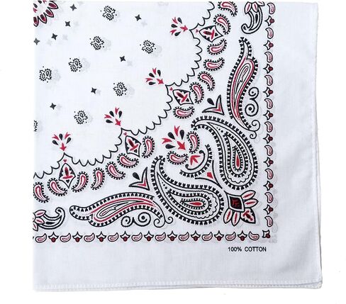 triumphal 100% Cotton bandanas/scarves for Men & Women New Paisley printed 12pcs, Mixed, 22x22 inches in Kuwait