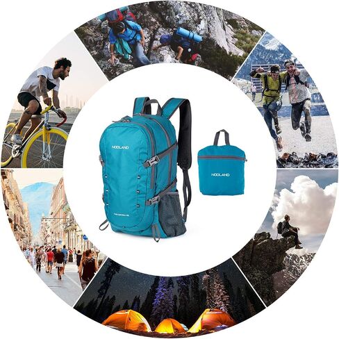 حقيبة ظهر Sharkborough Daypack، برتقالية، 40 طويلة in Kuwait