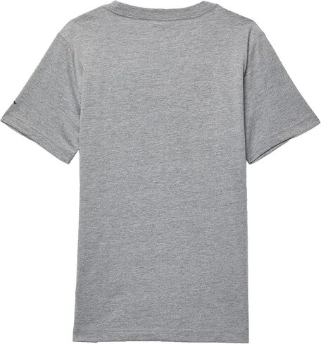 Jordan Boy's Essentials Plaid Short Sleeve Tee (Big Kids) Carbon Heather MD (10-12 Big Kid) in Saudi Arabia