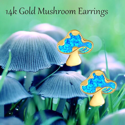 14k Solid Yellow Gold Simple Stud Earrings For Women, Christmas Dainty Jewelry Gifts For Girls Her in Saudi Arabia
