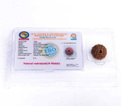 Wonder Care - Original Nepali Rudraksha Bead/Rudraksha Bead Natural Rudra Religious Rosary Bead in Kuwait