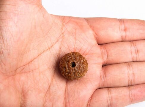 Wonder Care - Original Nepali Rudraksha Bead/Rudraksha Bead Natural Rudra Religious Rosary Bead in Kuwait