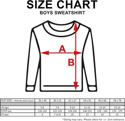 Popgear Boy's Harry Potter Icons Boys Crewneck Sweatshirt Black fashion-sweatshirts (pack of 1) in Kuwait