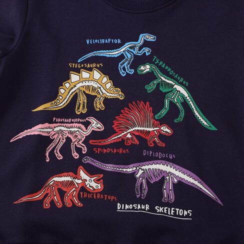 HSTiSan Toddler Boys Cotton Sweatshirt Luminous Dinosaur Pattern Pullover Sweater Long Sleeve Crewneck Tops Tee 2-7T in Kuwait