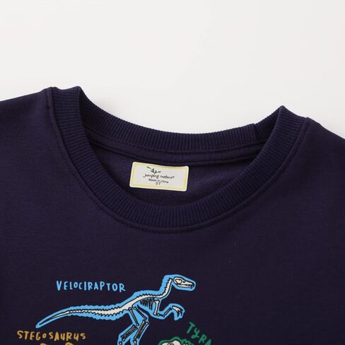 HSTiSan Toddler Boys Cotton Sweatshirt Luminous Dinosaur Pattern Pullover Sweater Long Sleeve Crewneck Tops Tee 2-7T in Kuwait