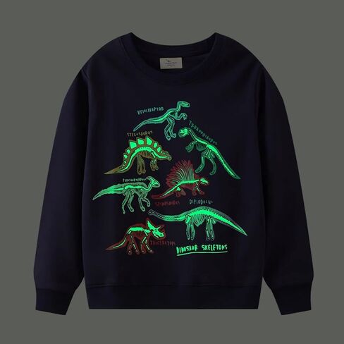 HSTiSan Toddler Boys Cotton Sweatshirt Luminous Dinosaur Pattern Pullover Sweater Long Sleeve Crewneck Tops Tee 2-7T in Kuwait