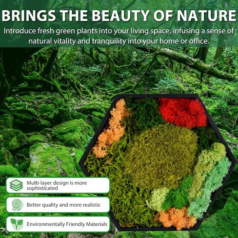 FOSSION Hexagon Moss Wall Panel 8"x7" - Stunning Preserved Moss Frame - Unique Wall Art for Indoor Spaces - Home Decor - No Watering or Sunlight Needed in Saudi Arabia
