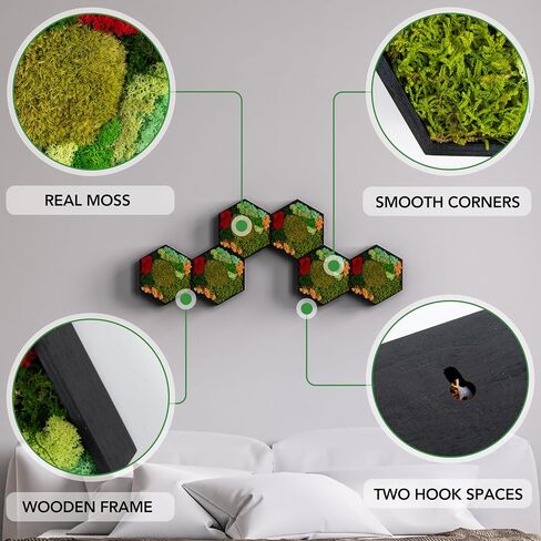 FOSSION Hexagon Moss Wall Panel 8"x7" - Stunning Preserved Moss Frame - Unique Wall Art for Indoor Spaces - Home Decor - No Watering or Sunlight Needed in Saudi Arabia