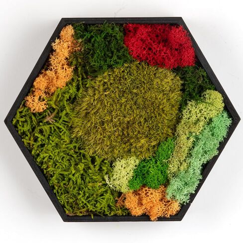 FOSSION Hexagon Moss Wall Panel 8"x7" - Stunning Preserved Moss Frame - Unique Wall Art for Indoor Spaces - Home Decor - No Watering or Sunlight Needed in Saudi Arabia