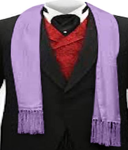 CJ Apparel Men's Solid Color Design Fashion Scarf Seconds Scarves Face/Neck Wrap NEW in Saudi Arabia
