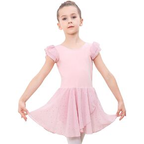 TIEJIAN Girls Ballet Leotard Dance Gymnastic Ballerina Outfit Tutu Dress with Chiffon Skirt (Toddler/Little Kid/Big Kid)