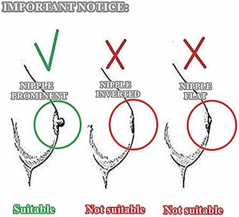 Mimimelon Non Piercing Nipple Noose Gold Heart Pearls Nipple Jewelry Body Chains Women Non Pierced Nipple Rings in Kuwait