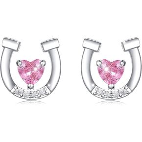 Hypoallergenic Horse Horseshoe Stud Earrings Silver for Girls Women Lucky Horse Jewelry Birthday Gifts for Horse Lovers in Kuwait