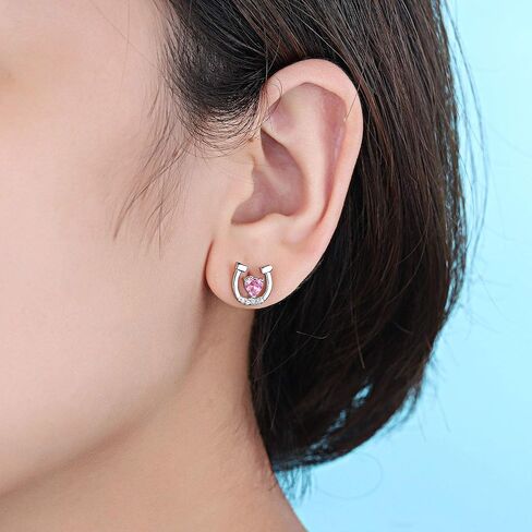 Hypoallergenic Horse Horseshoe Stud Earrings Silver for Girls Women Lucky Horse Jewelry Birthday Gifts for Horse Lovers in Saudi Arabia