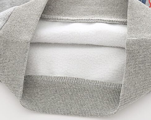 سويت شيرت صوف ديناصور للأطفال الصغار من SUPFANS، بلوفر تي ريكس برقبة دائرية in Kuwait