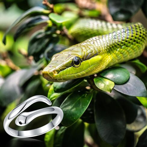 925-Sterling-Silver Snake Ring for Women - Open Adjustable Cobra Snake Rings,Plated with White Gold Cute Animal Toe Ring Fashion Jewelry in Kuwait