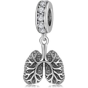 AIEGNOS Skull Charms for Bracelet 925 Sterling Silver Black Gold Anatomical Heart Lung Brains Charms Skull Skeleton Gothic Butterfly Charms for Bracelet Necklace for Mother Daughter Sister in Saudi Arabia