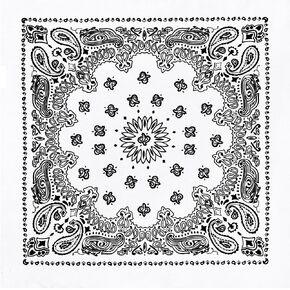 Rothco Trainmen Bandanas, White, 27'' x 27'' in Saudi Arabia