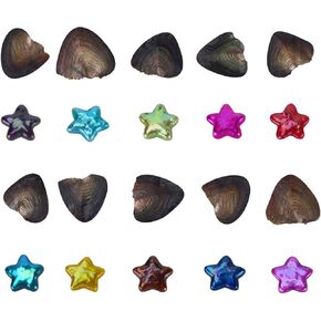 محارة البحر العذبة من البحر الأبيض مع لؤلؤ داخله 10 قطع in Kuwait